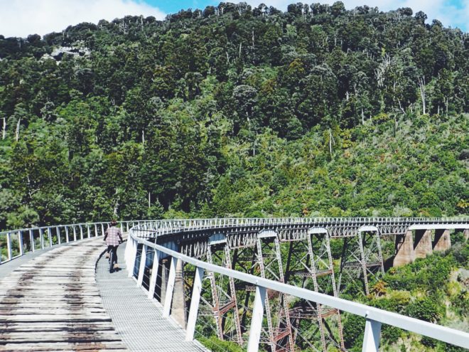 Mountain biking to the Bridge to Nowhere Track (Mangapurua Track)