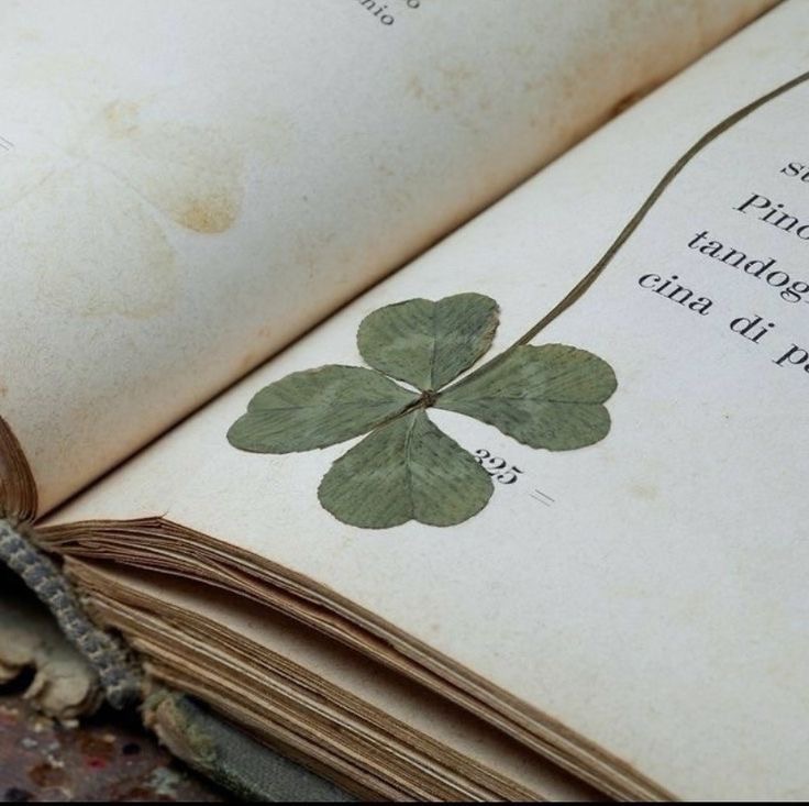 clovers