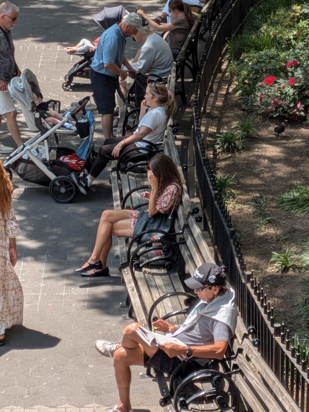 forecast says SUN&nbsp;🌞